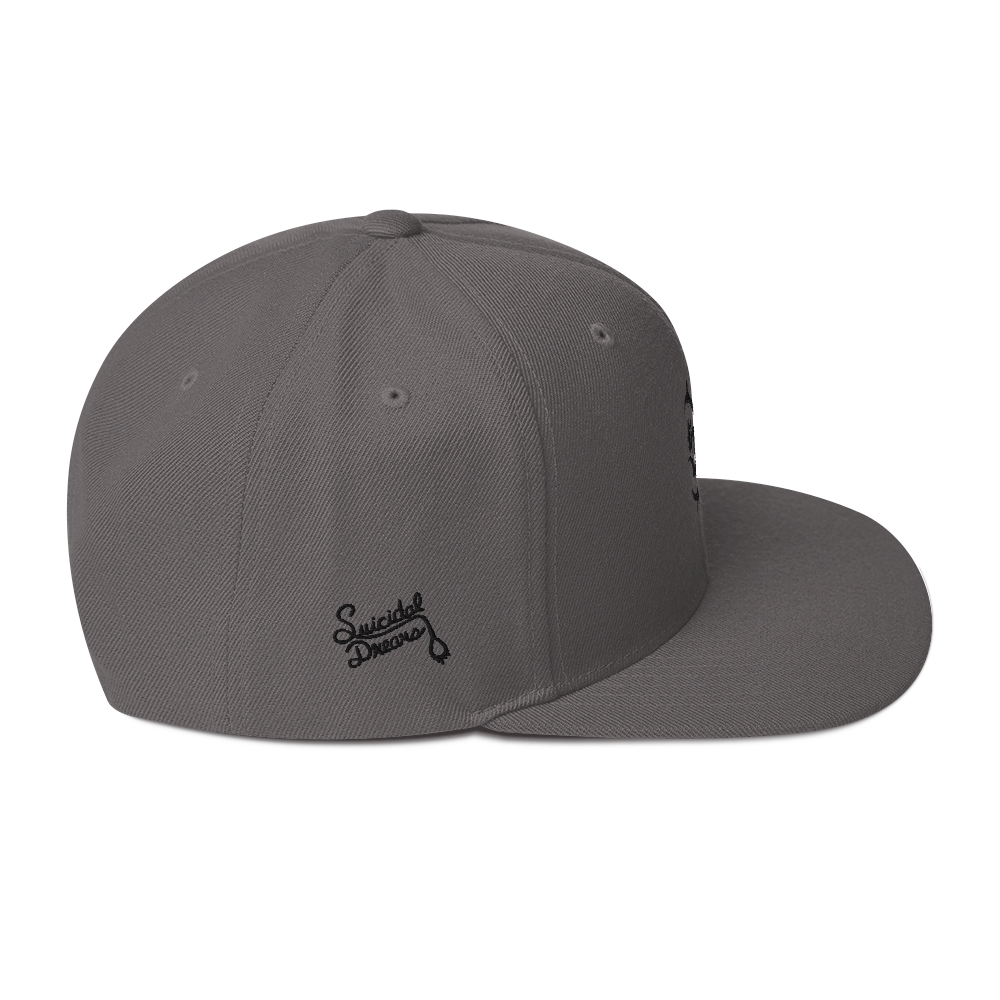 Crest Snapback